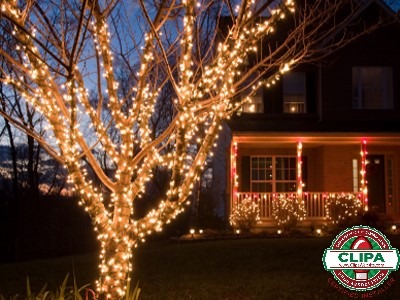 red white holiday lights wrapping residential home railing white holiday lights wrapping front yard tree