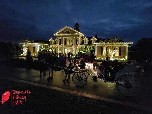 Beautiful light design behind horse and carriage