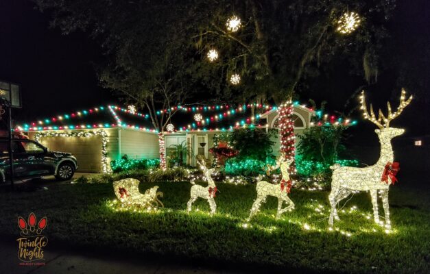 residential Christmas light design reindeer multi color lights santa sleigh