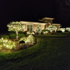 residential Christmas light design palm tree lights holiday lights on bushes
