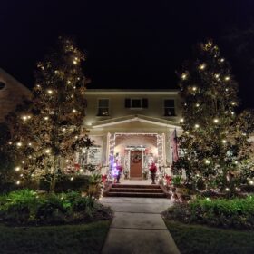 residential Christmas light design palm tree lights holiday lights