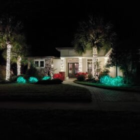residential Christmas light design palm tree light wrap green red holiday lights