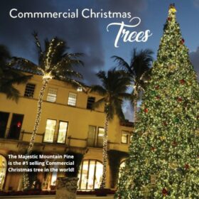 big christmas tree commercial display