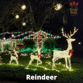 reindeer holiday decor christmas lights spritzers