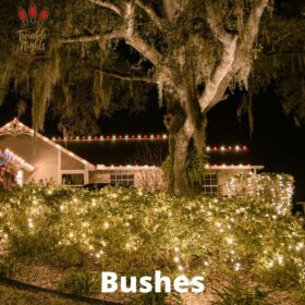 Bushes christmas lights gainesville fl ocala fl jacksonville fl