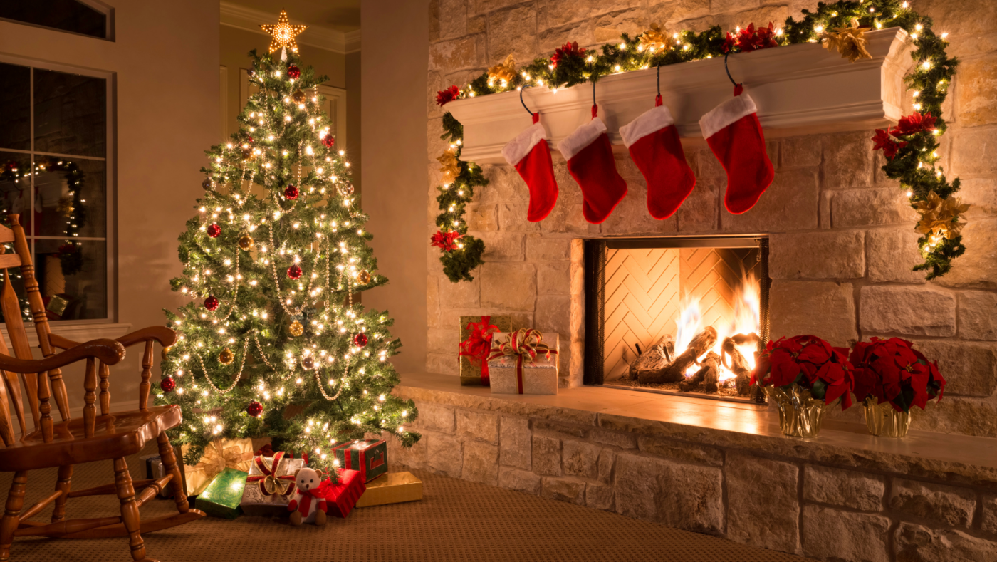 Christmas Trees - How to look after them